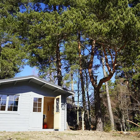 Vakantiehuis Golf, Bain A Remous, Piscine Et Activites Ludiques : De Luxe Pour 4 Adultes + 2 Enfants - Fr-1-582-368 Le Chambon-sur-Lignon